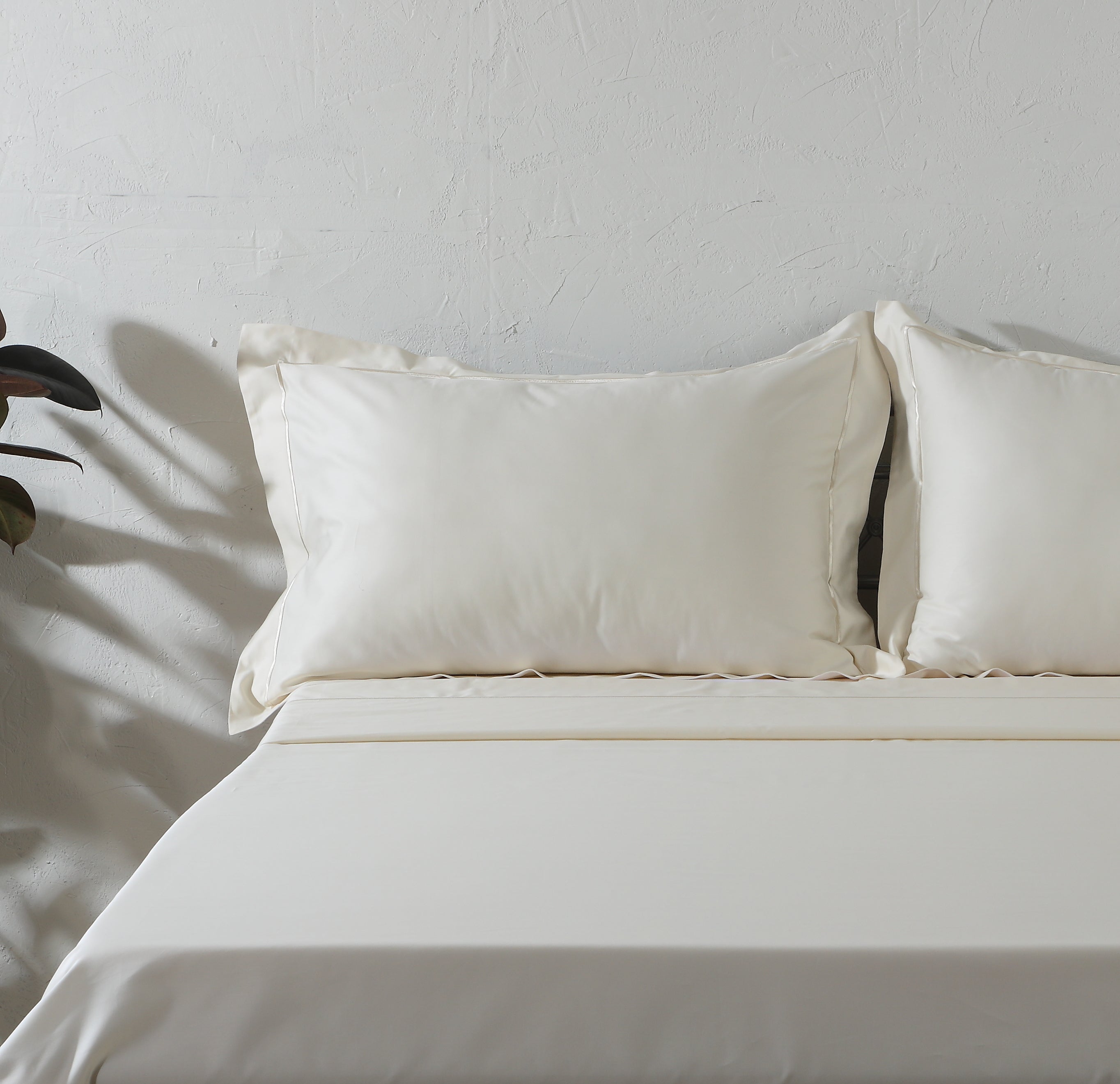 750 TC 100% ORGANIC COTTON EMBROIDERED SHEET SET - IVORY