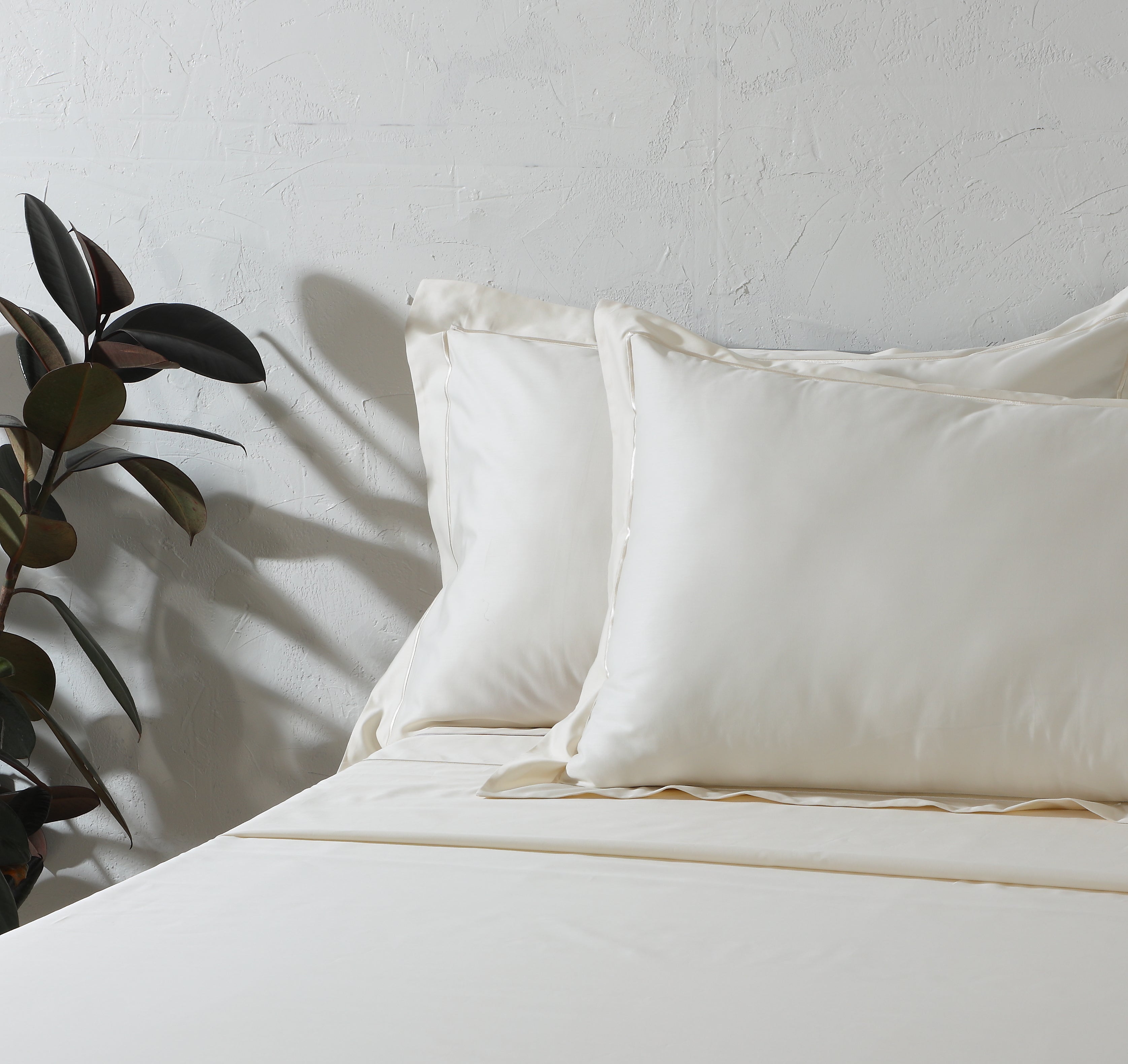 750 TC 100% ORGANIC COTTON EMBROIDERED SHEET SET - IVORY