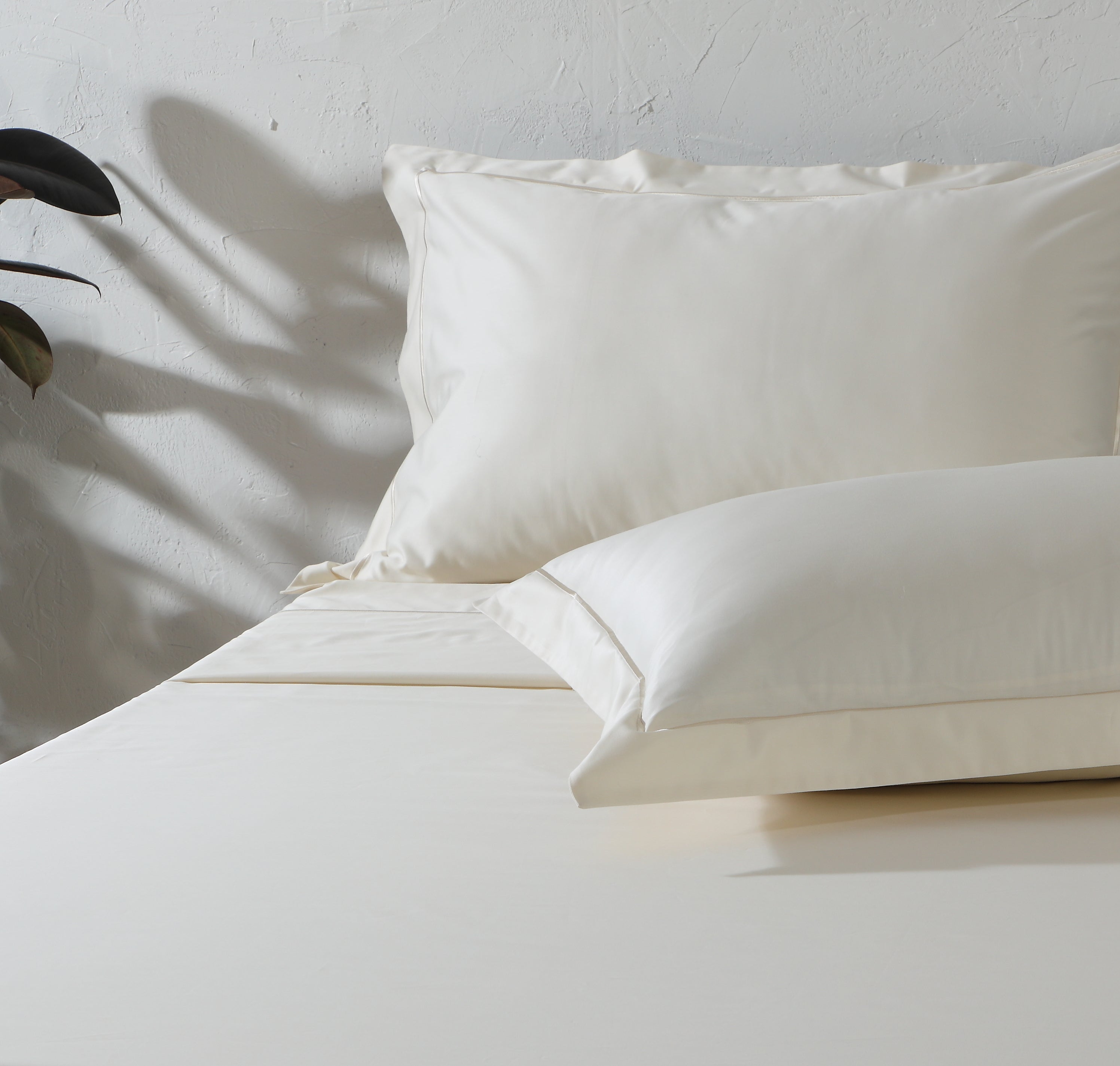 750 TC 100% ORGANIC COTTON EMBROIDERED SHEET SET - IVORY